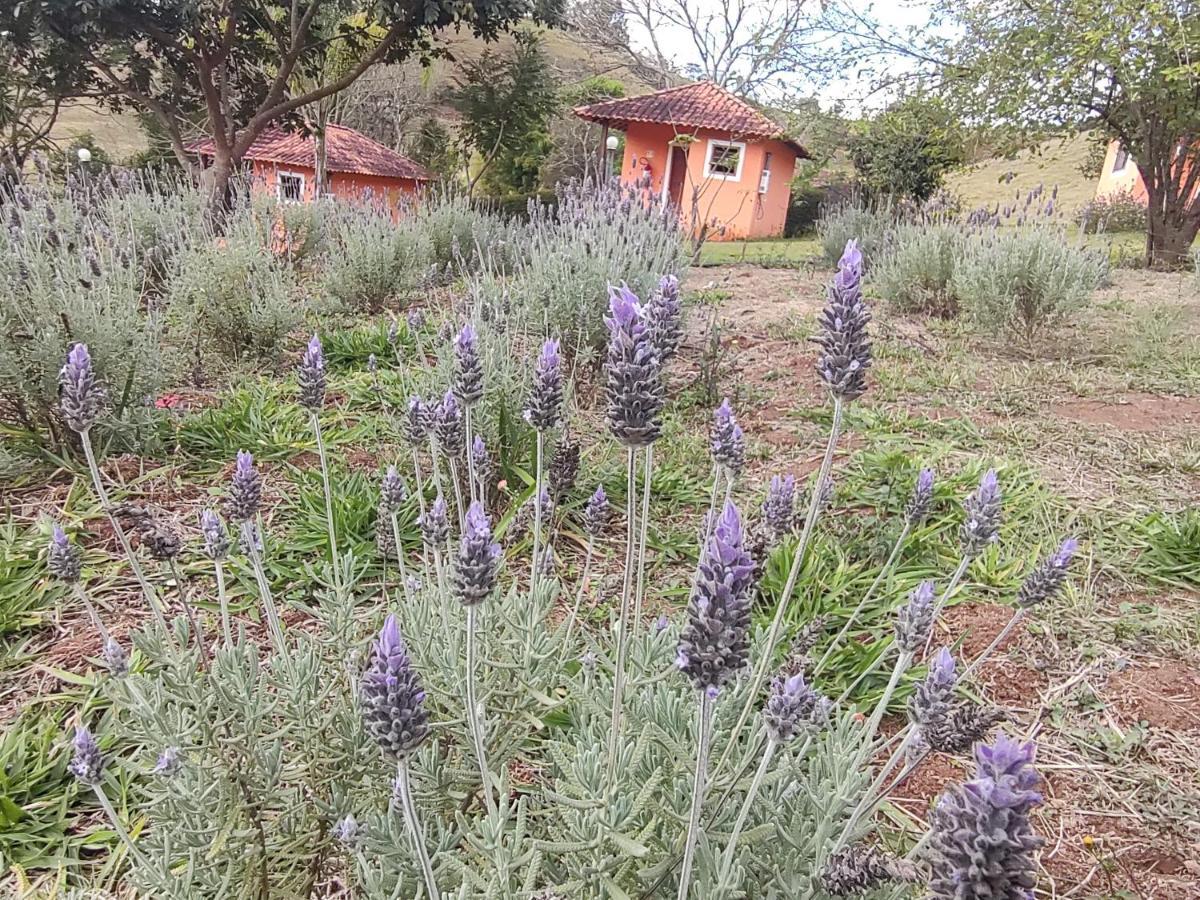 מלון Pousada Campestre Cunha-Sp מראה חיצוני תמונה